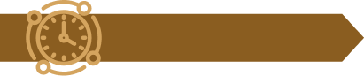 timelines timelines